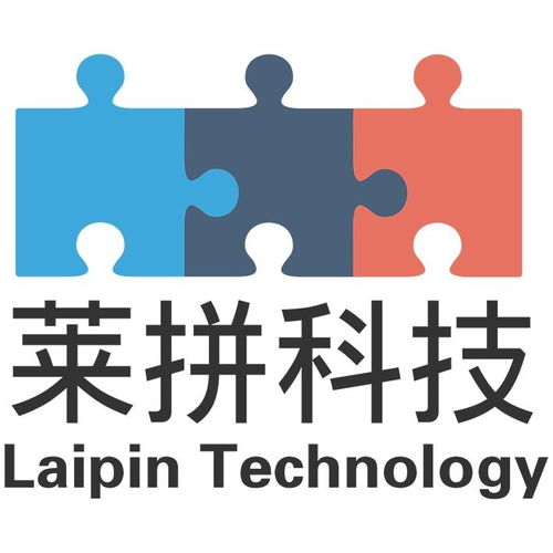 南京莱拼网络科技与拼奔科技 双星闪耀，共绘数字经济新图景