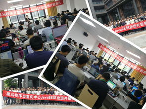 只有拼命奔跑，才能不负青春不负卿